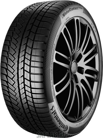 Купить CONTINENTAL 0355591 Шины Continental CONTIWINTERCONTACT TS850P 255/55R18 109H XL MO