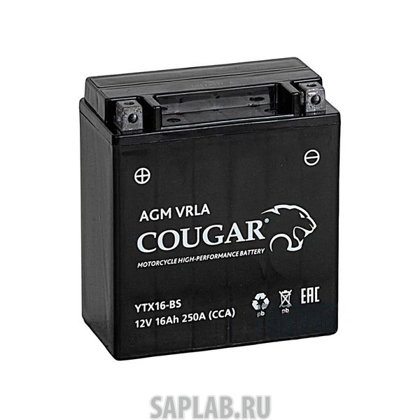 Купить COUGAR YTX16BS Аккумулятор мотоциклетный Cougar AGM YTX16-BS 12V 16Ah (залит и готов к применению)
