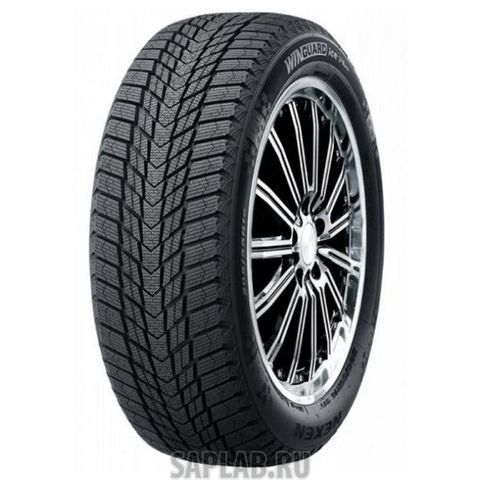 Купить ROADSTONE 16123 Шины Roadstone Winguard Ice Plus 245/45 R17 99T