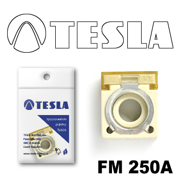 Купить Tesla FM250A Предохранитель компактный FM  250A
