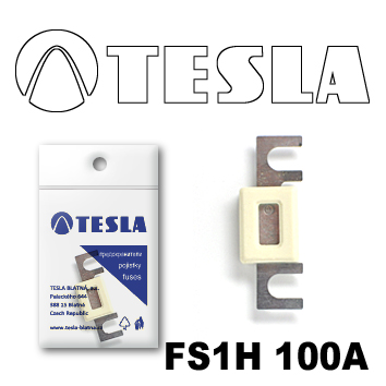 Купить Tesla FS1H100A Предохранитель ленточный с изолятором 100А
